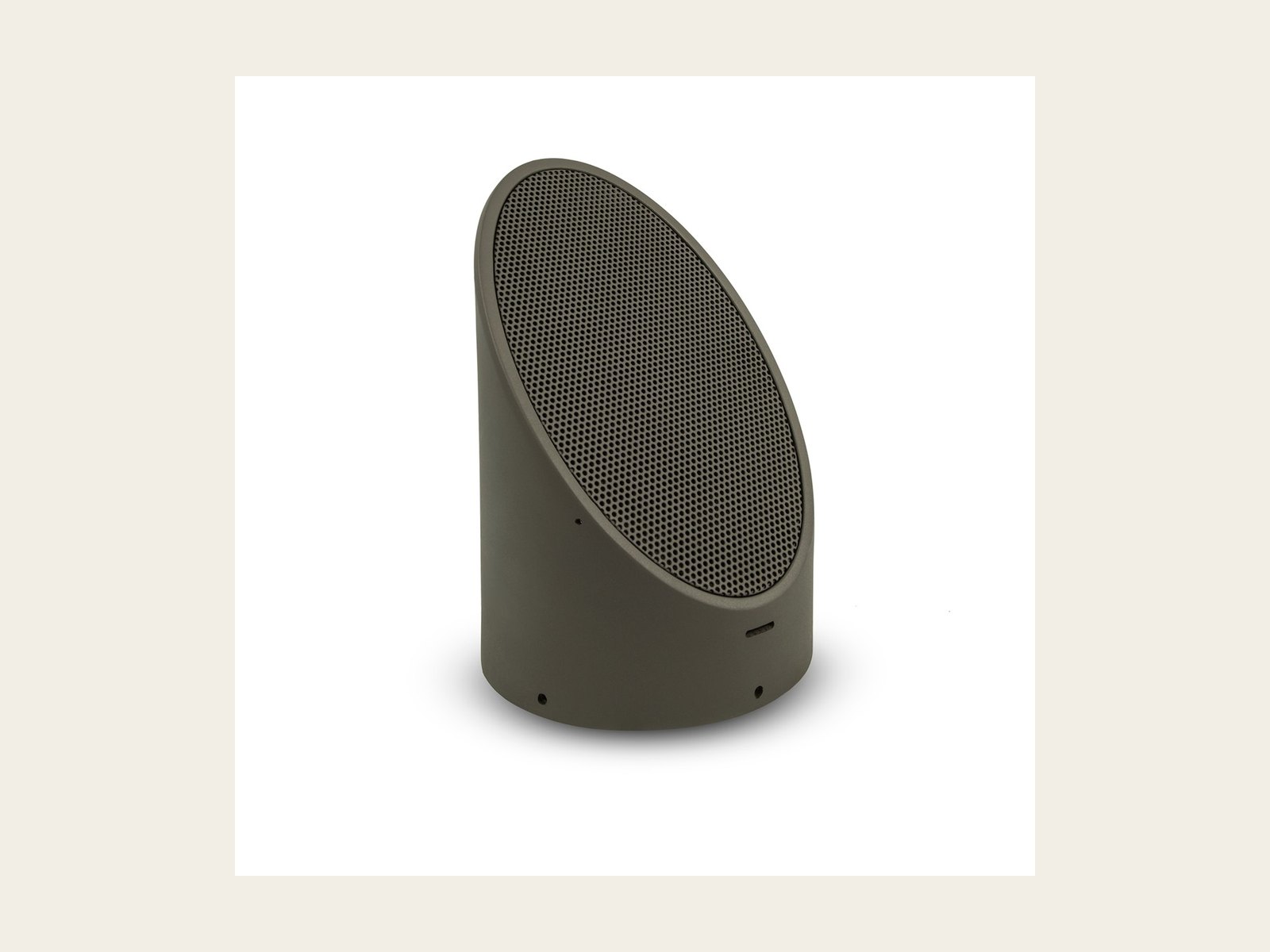 Coastal Source bronze landscape speaker in a garden bed